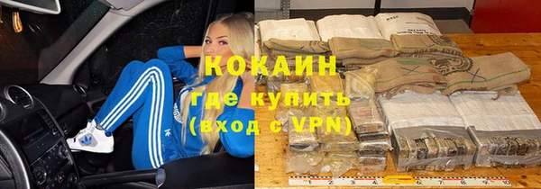 ешки Алексин