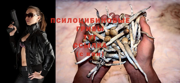 гашик Абинск