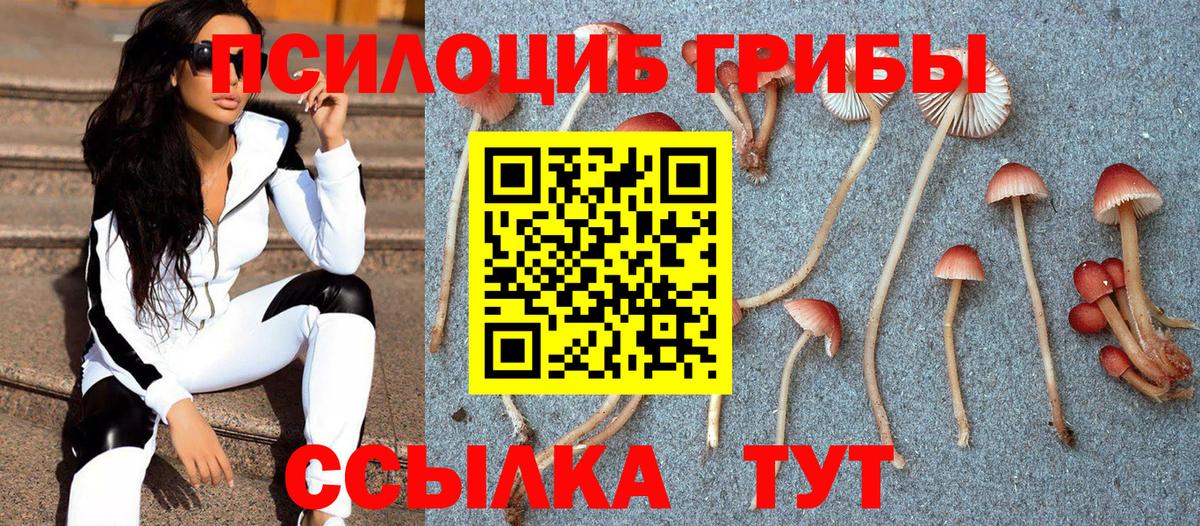 Псилоцибиновые грибы Cubensis Лангепас